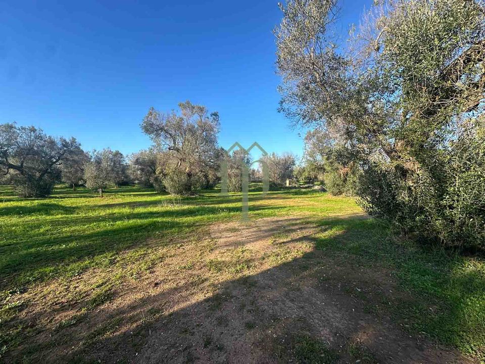 Helårsgrund i San Vito dei Normanni, Brindisi - foto 2
